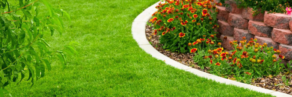 Your lawn and landscape
the way that it should